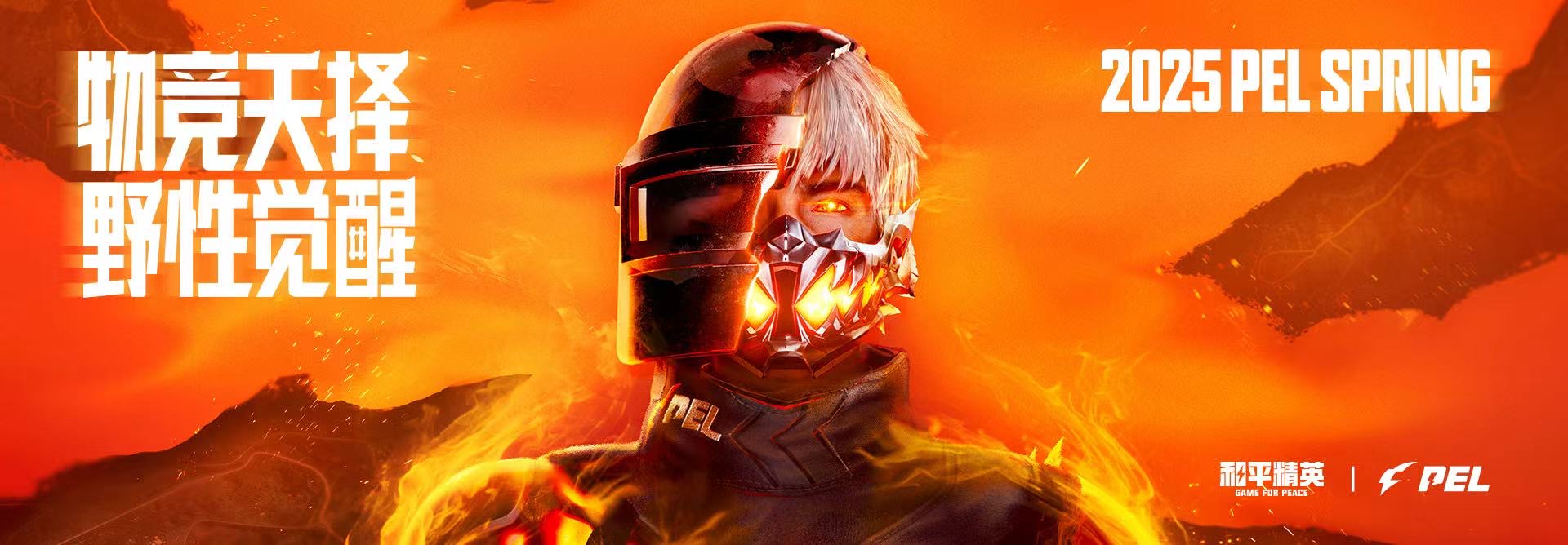 和平精英辅助:辅助软件的辩证视角与游戏公平